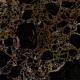 Imperador Dark Gold